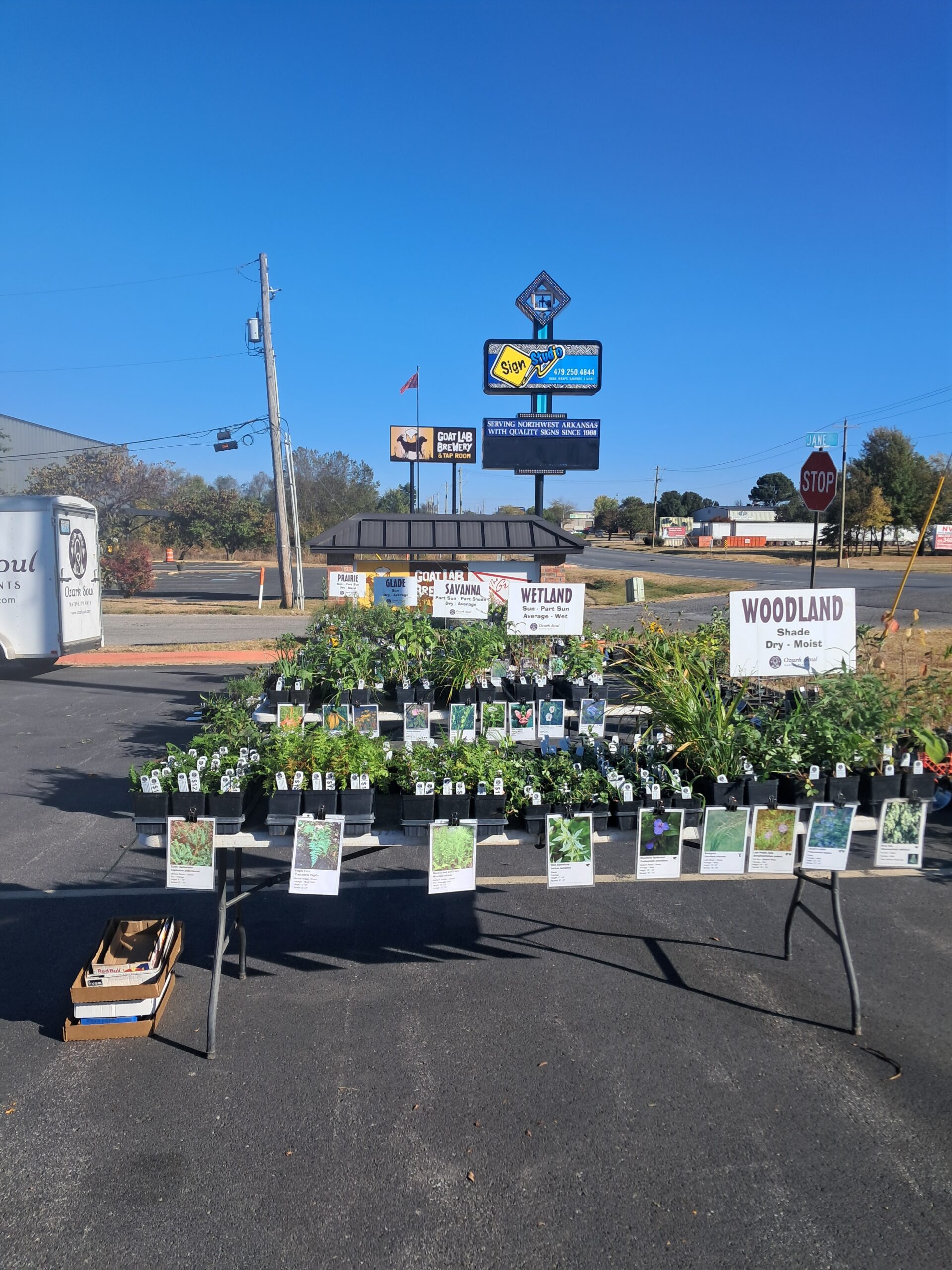 1st Annual Fall Native Plant Sale